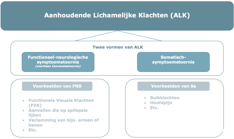 functionele-visuele-klachten-kennisoverzien